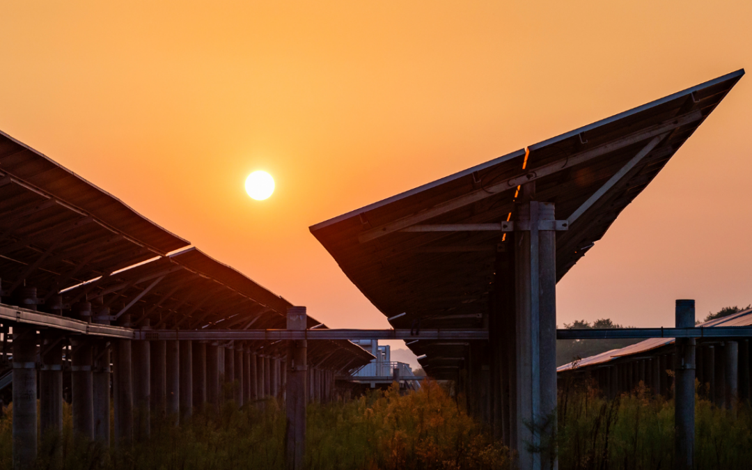 Déploiement massif du photovoltaïque : Le gouvernement renforce son soutien à la filière solaire