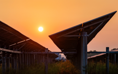 Déploiement massif du photovoltaïque : Le gouvernement renforce son soutien à la filière solaire