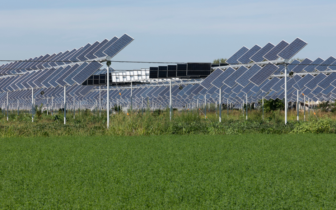 Agrivoltaïsme : Lancement d’un projet colossal dans les Landes pour conjuguer énergie renouvelable et agriculture durable