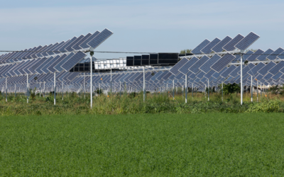 Agrivoltaïsme : lancement d’un projet colossal dans les Landes pour conjuguer énergie renouvelable et agriculture durable