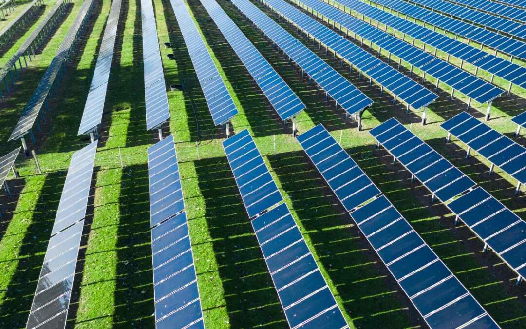 Royaume-Uni : Blythe Solar Farm poursuit son expansion avec une capacité totale de 44,3 MW