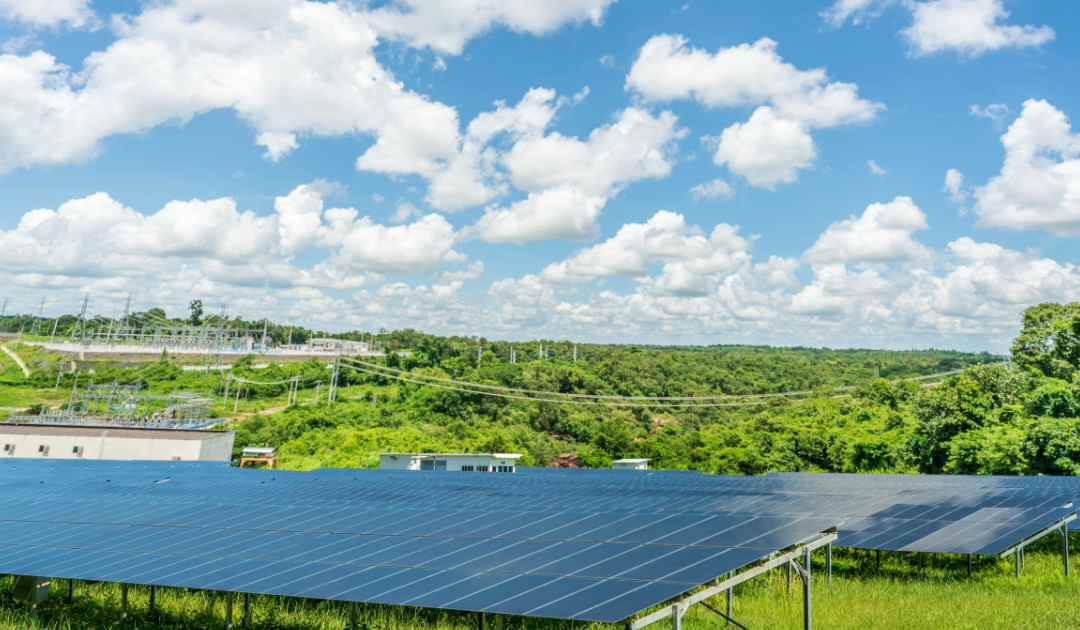 Photovoltaïque et biodiversité : le conseil national de protection de la nature alerte sur une menace croissante pour les écosystèmes naturels