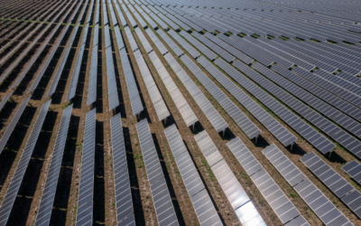 Une ferme solaire innovante près de Dinan : énergie verte et lieu de détente pour tous