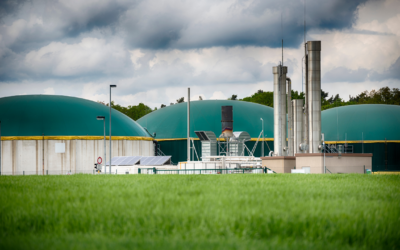 Gardanne : le redémarrage de la plus grande centrale biomasse de France prévu pour 2025