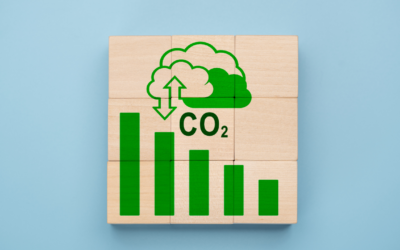 Feuille de route pour une énergie verte et une neutralité carbone d’ici 2050