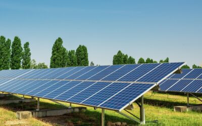 Panneaux solaires : un investissement rentable sous certaines conditions