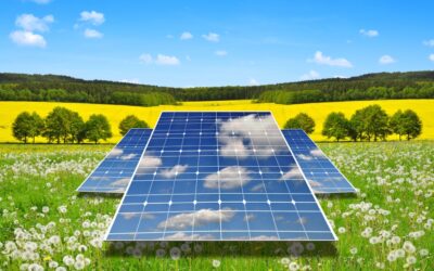 Agriculture et énergie solaire : une alliance bénéfique pour l’environnement et la rentabilité