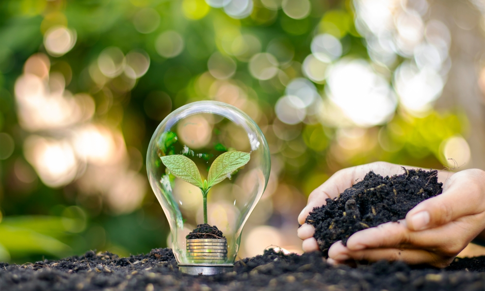 Les emplois de demain quels secteurs croîtront avec la transition écologique