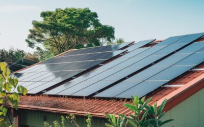 Photovoltaïque : quelles aides financières pour l’installation de panneaux solaires en 2025 ?