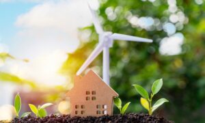 Énergies renouvelables un levier stratégique pour la sécurité énergétique