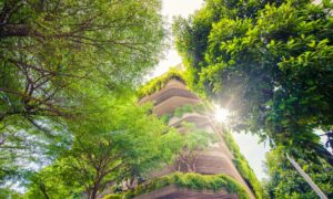 Transition énergétique trois visions pour éclairer un avenir durable à Toulouse
