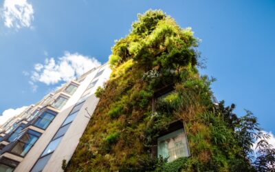 Fontaine d’Ouche : Dijon inaugure son premier quartier à énergie positive