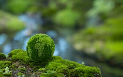 Climat : la Chine amorce un tournant historique avec une baisse inédite de ses émissions de CO₂