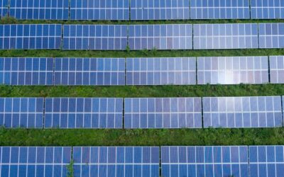 Énergies renouvelables : un nouveau parc solaire inauguré en Côte-d’Or, capable d’alimenter 4 100 habitants