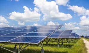 Ormes Shiseido mise sur le solaire pour verdir sa production
