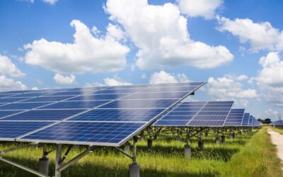 Ormes : Shiseido mise sur le solaire pour verdir sa production
