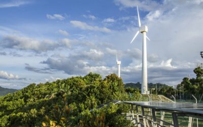 Photovoltaïque, éolien et batteries : le plan de l’Espagne pour éviter une nouvelle grande panne électrique