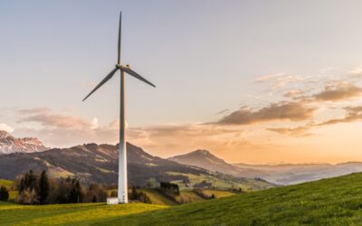 Transition énergétique : la France franchit un cap historique avec plus de 30 % d’électricité renouvelable en 2024