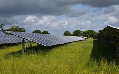 À Creil, une ancienne base militaire devient la deuxième plus grande centrale solaire de France