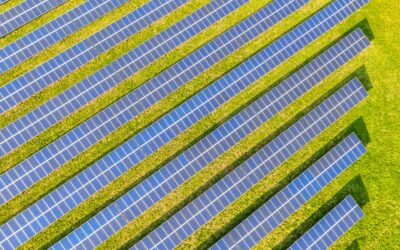 Chambley-Bussières : le futur parc photovoltaïque de 51,5 MWc entre en phase décisive
