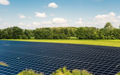Dans le Loiret, un nouveau géant solaire alimente 12 000 foyers