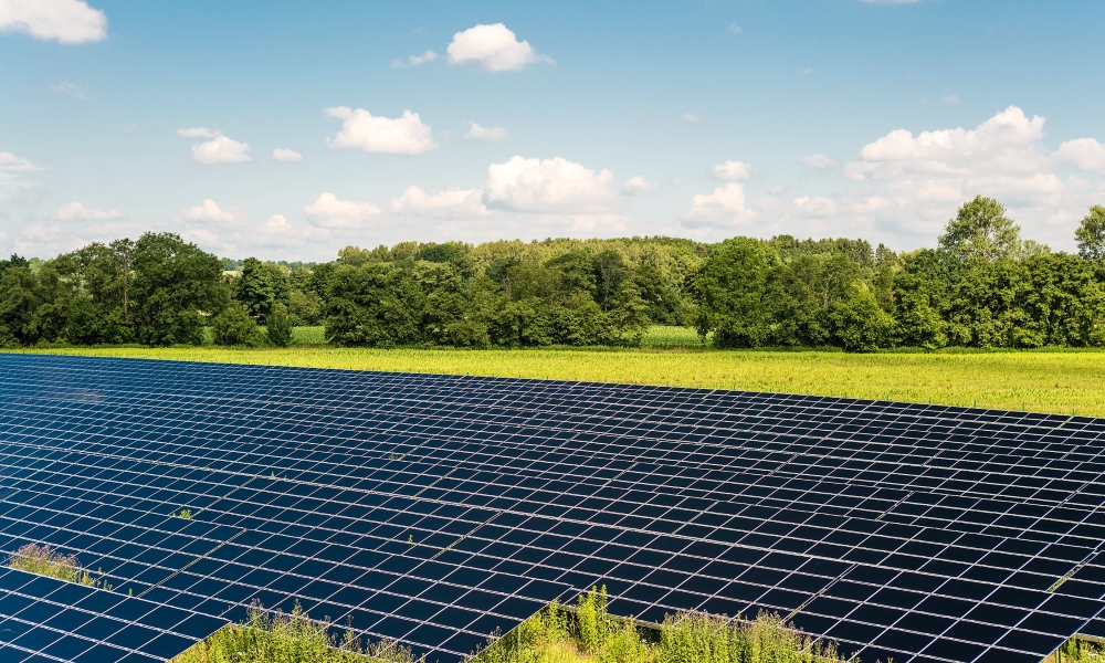 Dans le Loiret, un nouveau géant solaire alimente 12 000 foyers