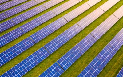Solaire : la France dépasse les 2 700 MW raccordés au premier semestre 2025