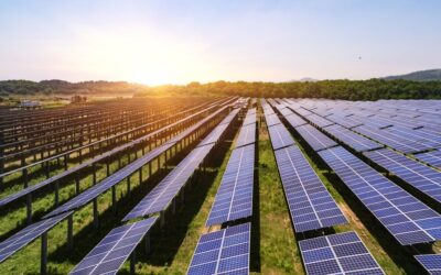 Transition énergétique : un parc solaire participatif voit le jour à Mallemort